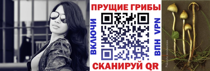 ОМГ ОМГ ССЫЛКА  Ижевск  Галлюциногенные грибы мицелий  цена наркотик 