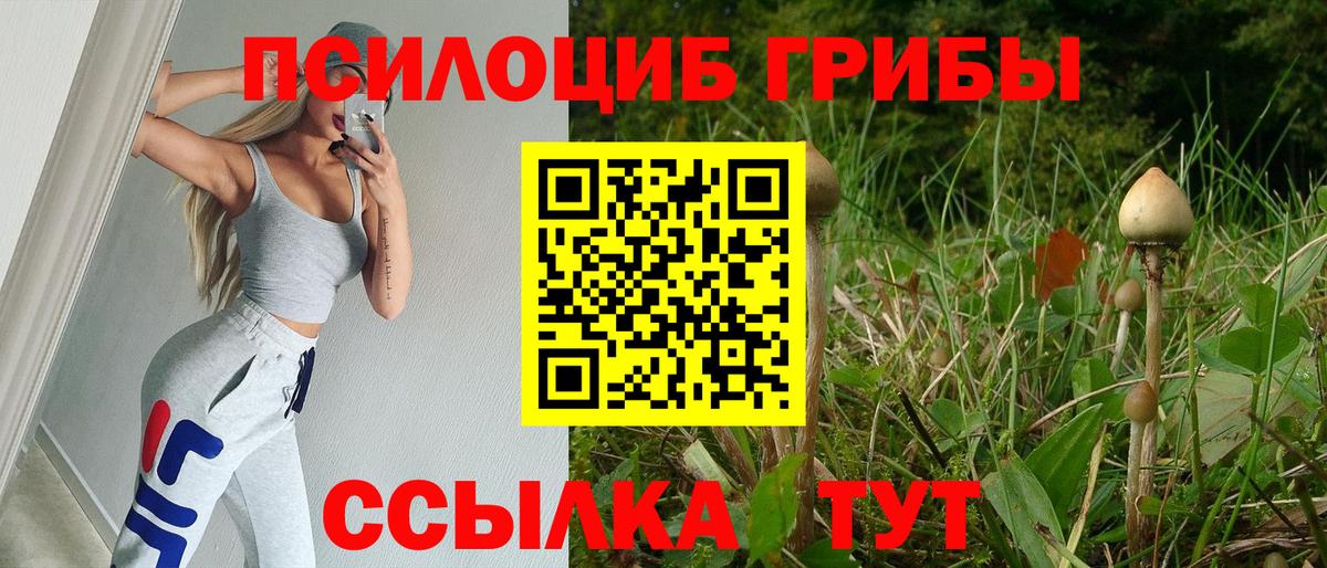 Галлюциногенные грибы GOLDEN TEACHER Ижевск