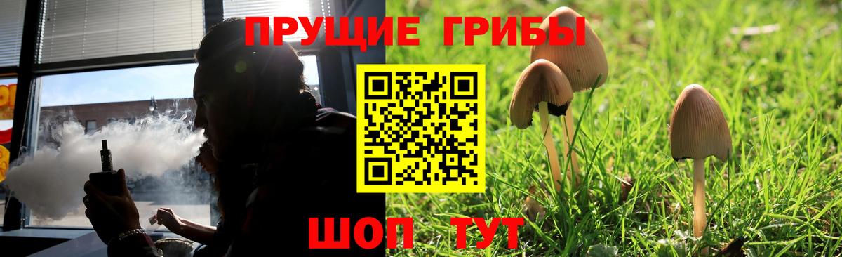 Псилоцибиновые грибы Cubensis  Вход с VPN  Ижевск 